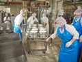 В 2025 г. производство сыра в Ивановской области увеличилось на 14,6%